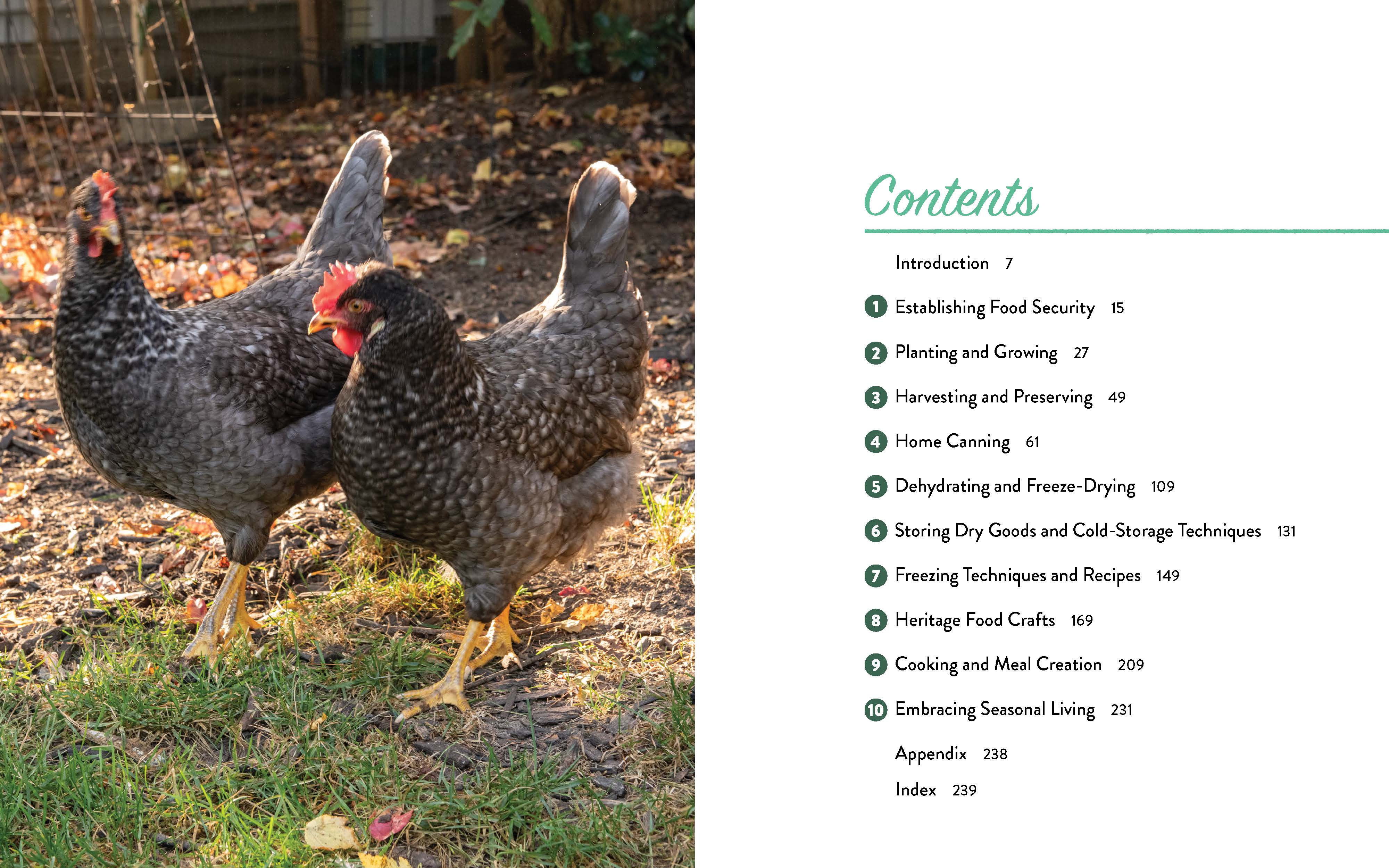 From Seed to Table: A Comprehensive Guide to Gardening, Preserving, and Cooking for Sustainable Living