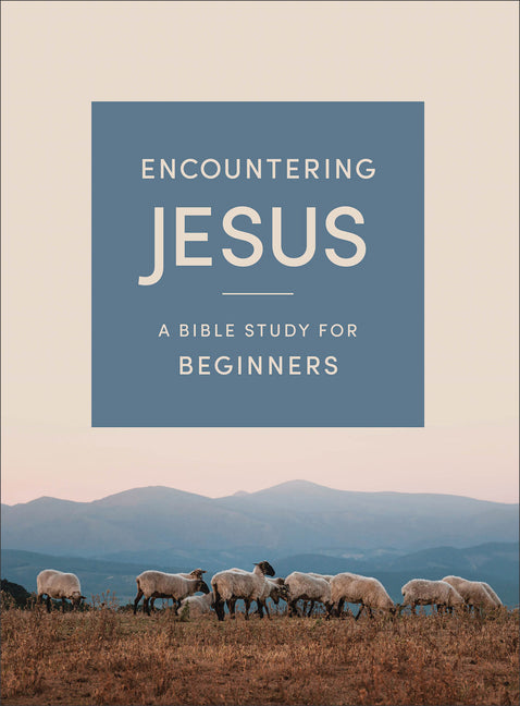 Encountering Jesus: A Bible Study for Beginners by Bethany House Publishers