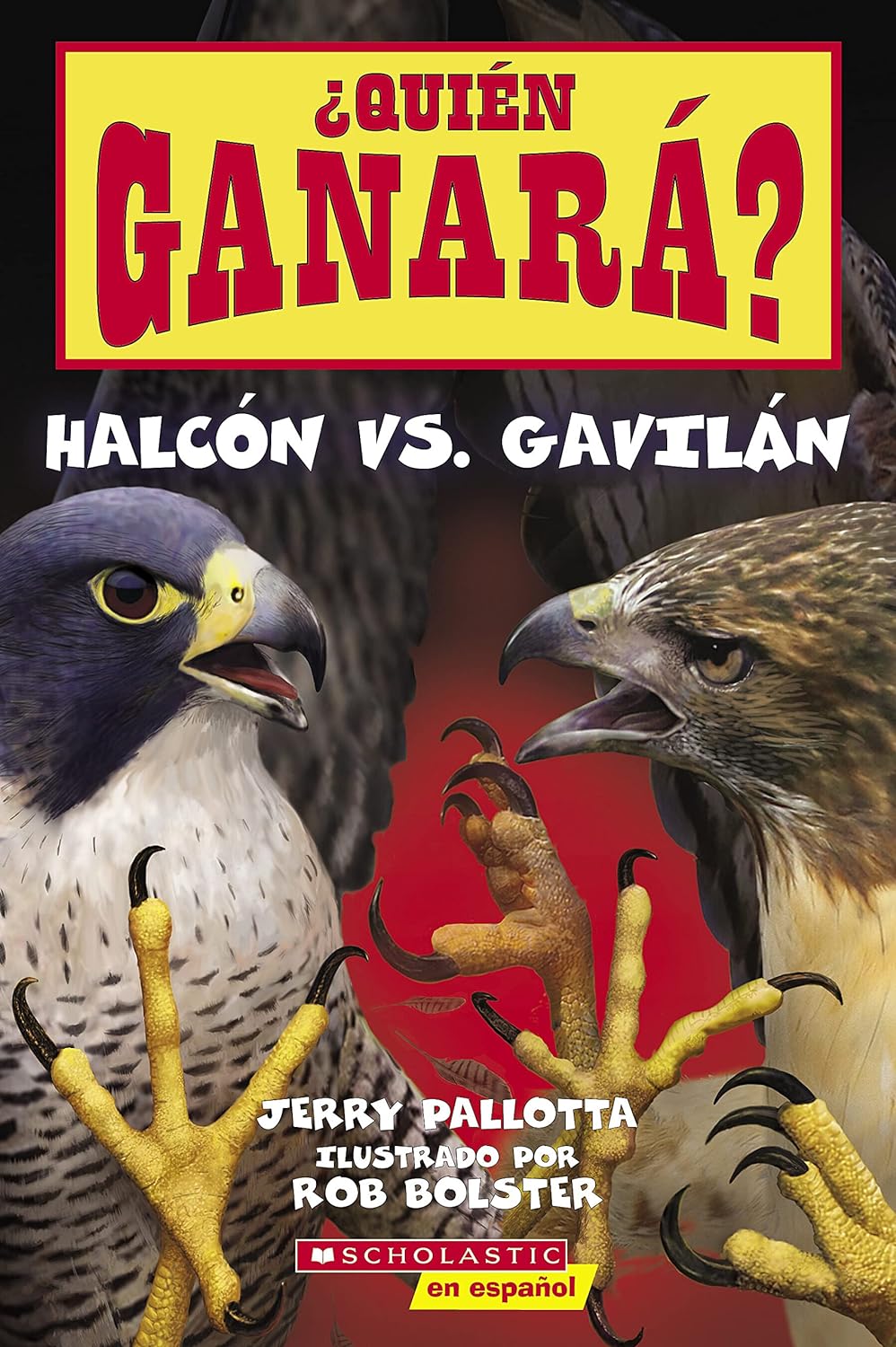 Quien ganara? Halcon vs. Gavilan (Who Will Win? Falcon vs. Hawk)