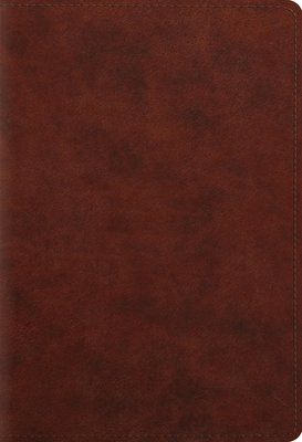 ESV Student Study Bible (TruTone, Chestnut)