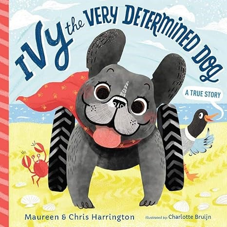 Ivy the Very Determined Dog: A True Story