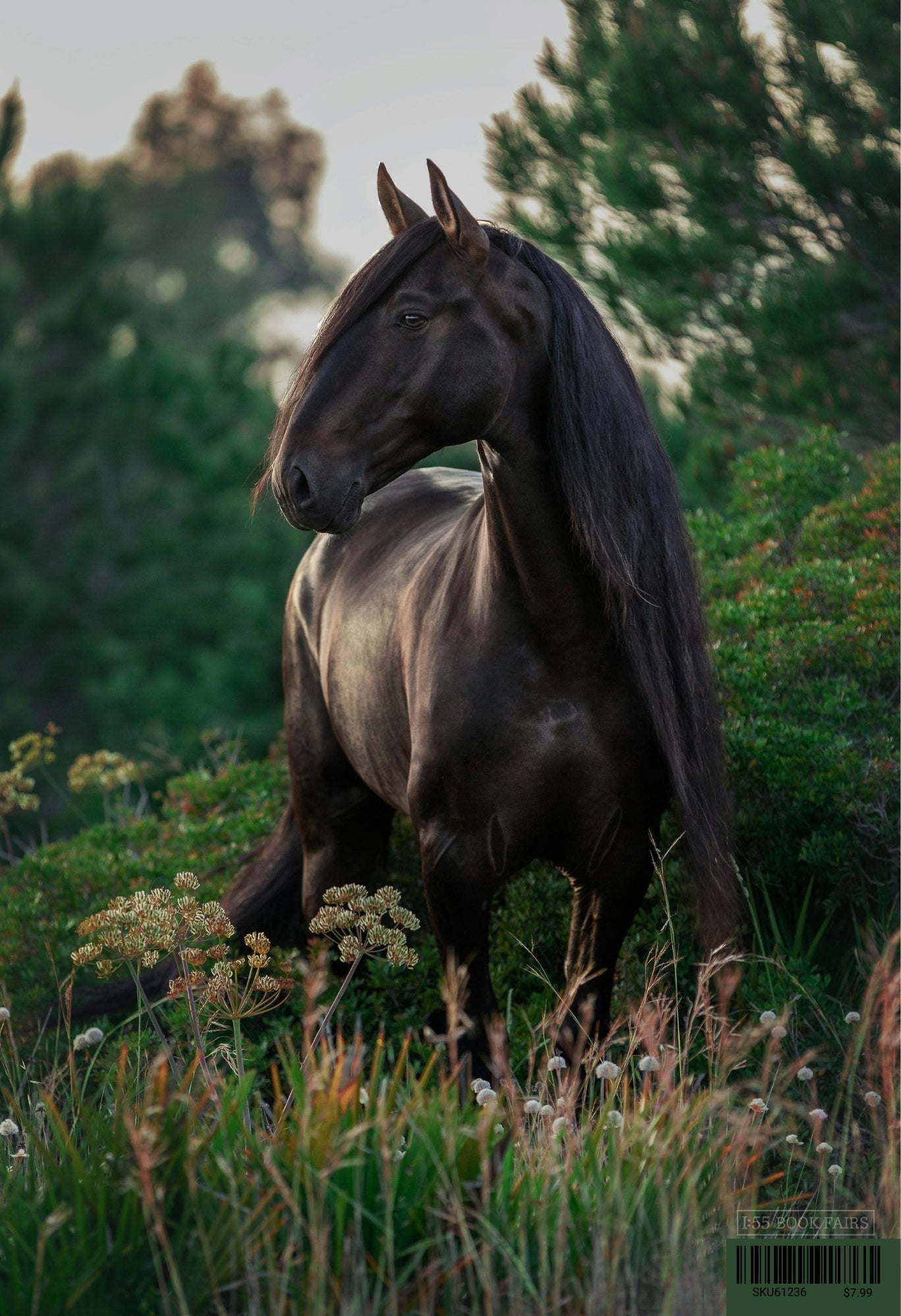 Horse Poster