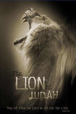 Poster The Lion Of Judah