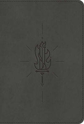 ESV Compact Kid's Bible gray with Sword of the Spirit