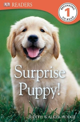 DK Readers L1: Surprise Puppy by Walker-Hodge, Judith