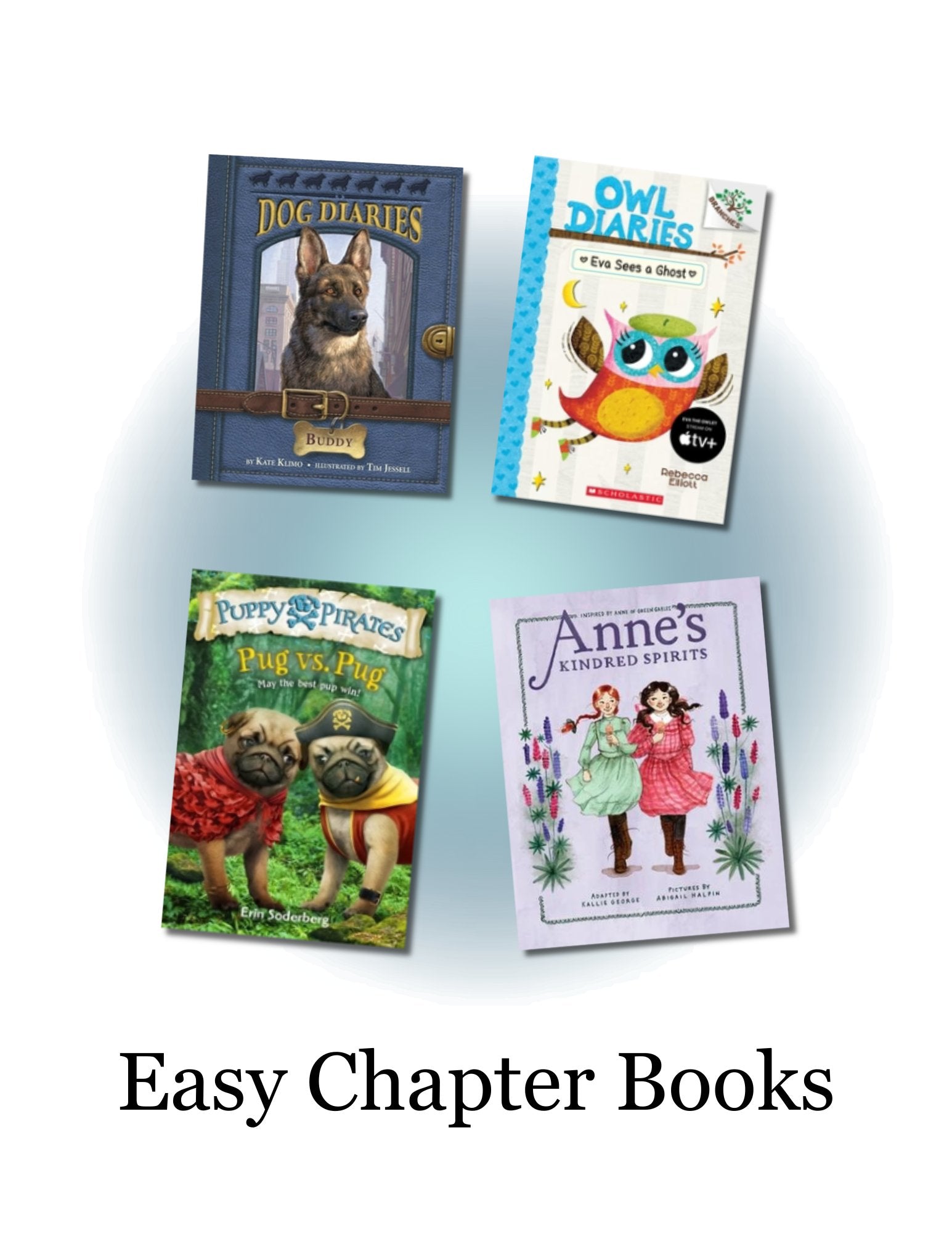 EASY CHAPTER BOOKS