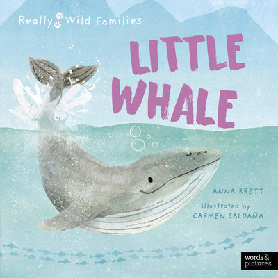 Little Whale: A Day in the Life of a Whale Calf (Really Wild Families)