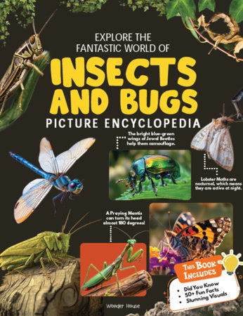 Explore Fantastic World of Insects And Bugs Picture Encyclopedia cover