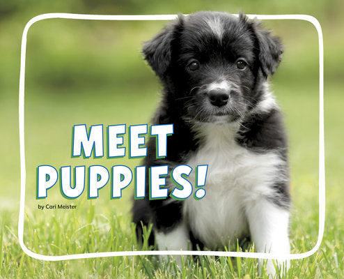 Meet Puppies! by Meister, Cari