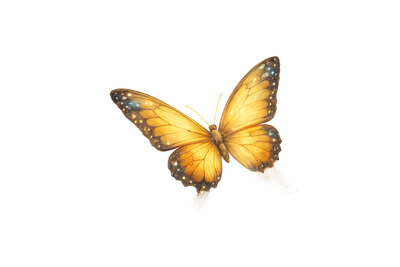 Butterfly animation