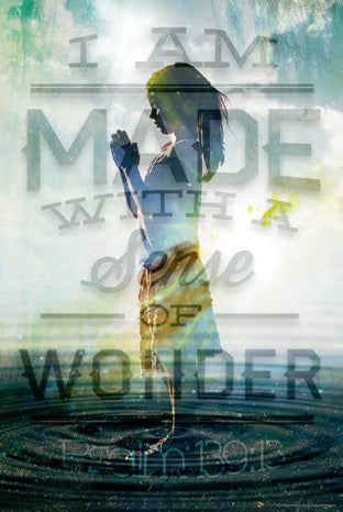 POSTER 690X WONDER