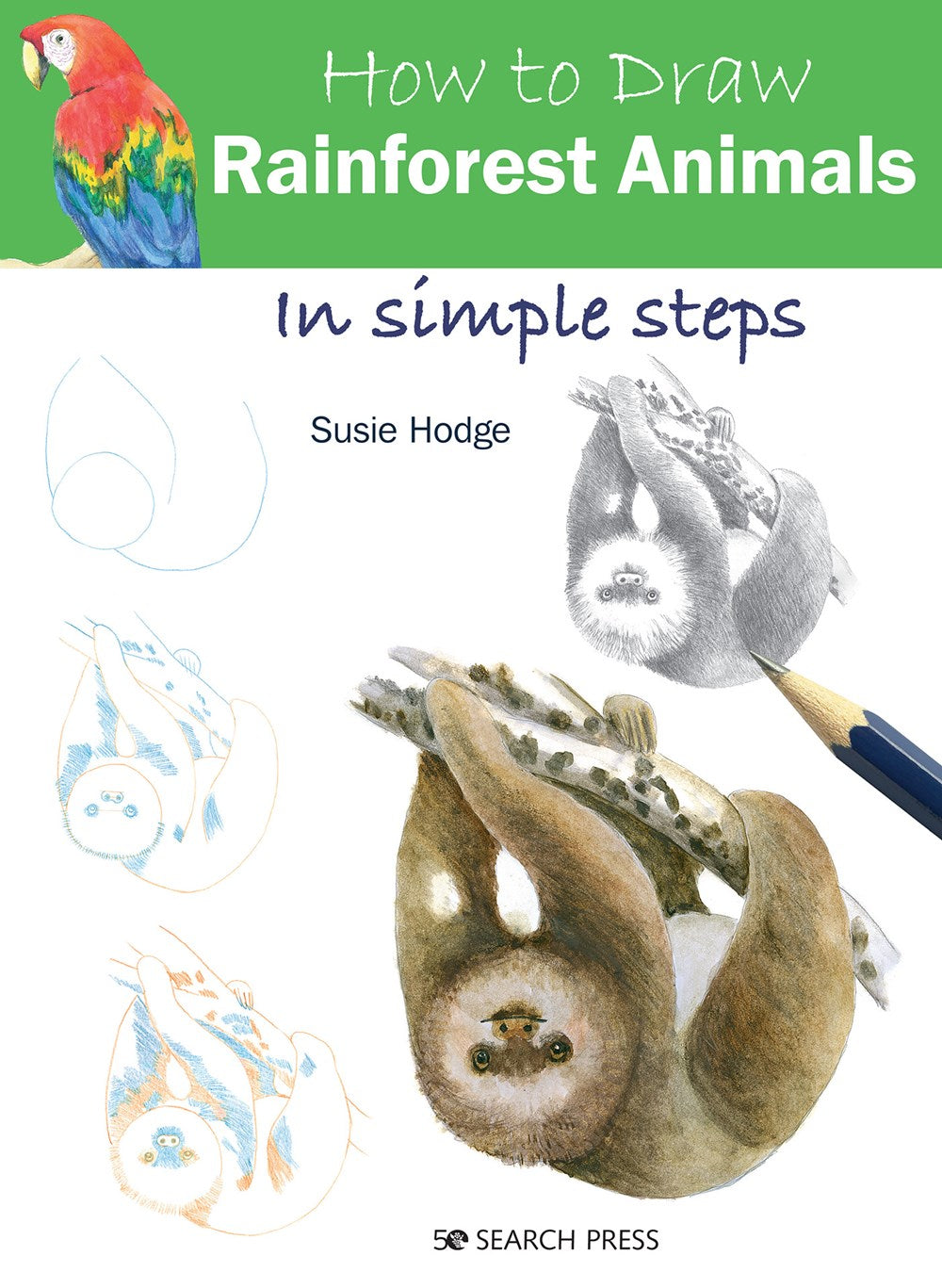 How to Draw Rainforest Animals in Simple Steps : in simple steps