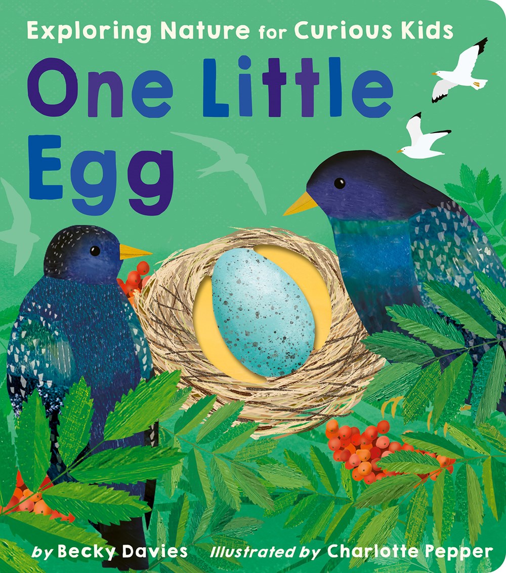 One Little Egg : Exploring Nature for Curious Kids