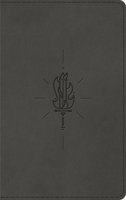 ESV Kid's Thinline Bible Charcoal with Sword of the Spirit Design