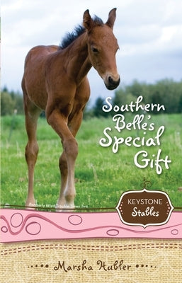 Southern Belle's Special Gift: 3 by Hubler, Marsha