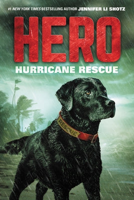 Hero: Hurricane Rescue by Shotz, Jennifer Li