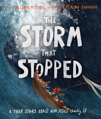 The Storm That Stopped Storybook: A True Story about Who Jesus Really Is by Mitchell, Alison