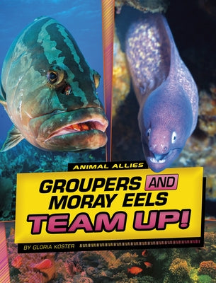 Groupers and Moray Eels Team Up! by Koster, Gloria